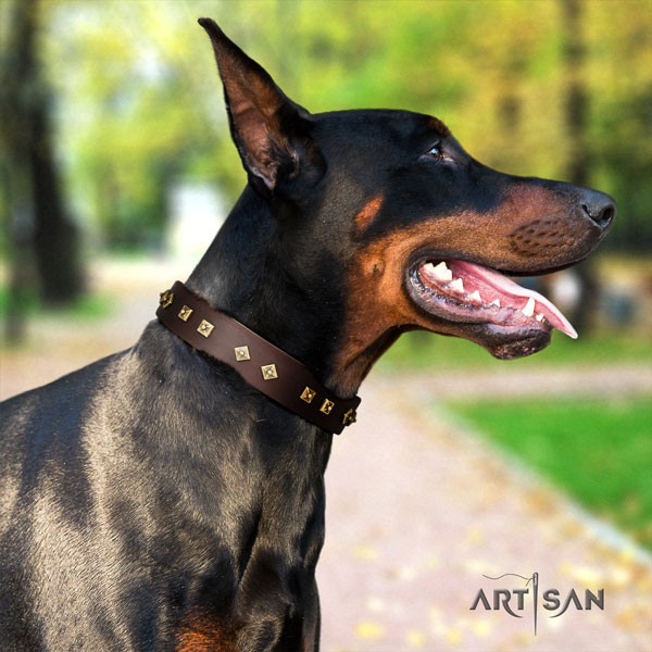 Doberman convenient full grain leather collar with adornments for your four-legged friend