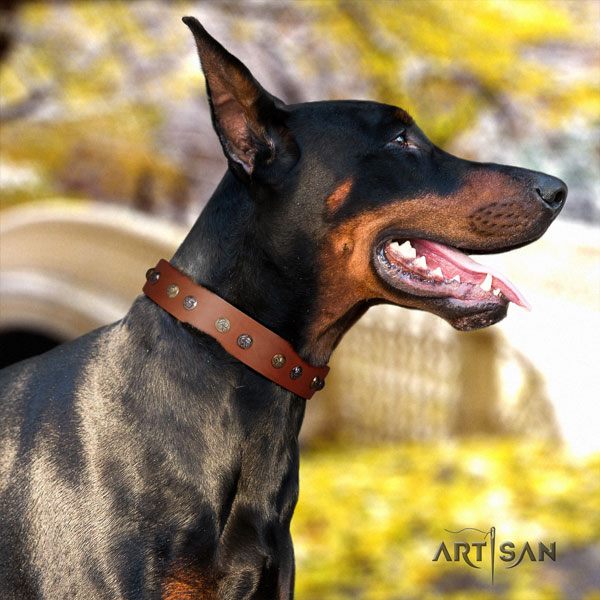 Doberman top quality full grain leather collar with decorations for your pet