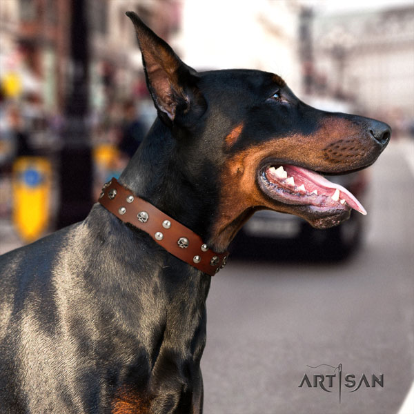 Doberman trendy leather collar with embellishments for your four-legged friend