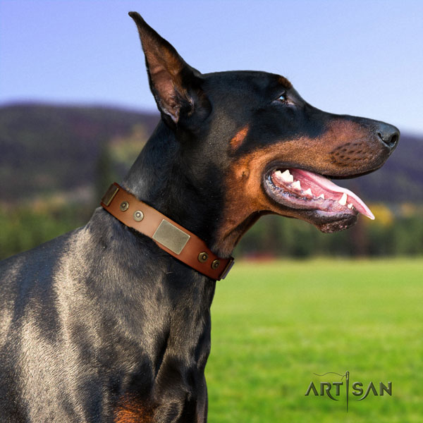 Doberman stylish design natural genuine leather collar with embellishments for your four-legged friend