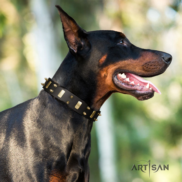Doberman fashionable full grain leather collar with studs for your doggie