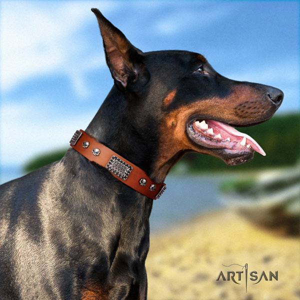 Doberman impressive natural genuine leather collar with adornments for your dog