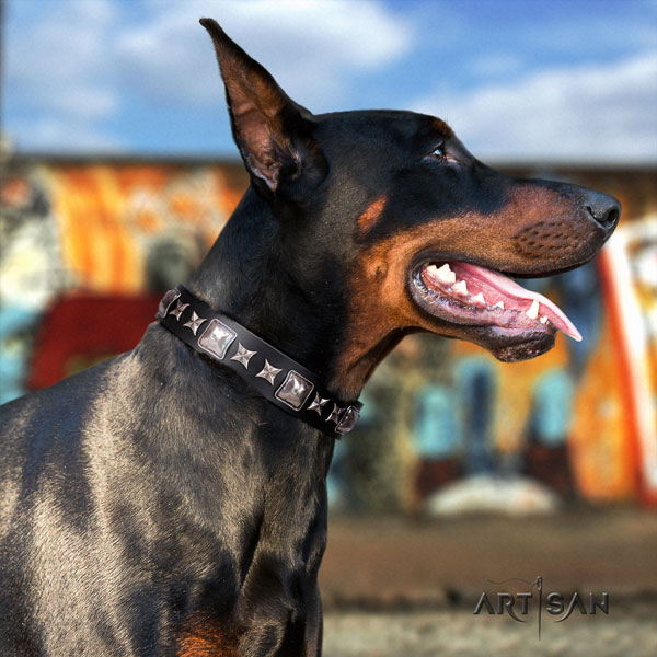 Doberman exquisite genuine leather collar with studs for your canine