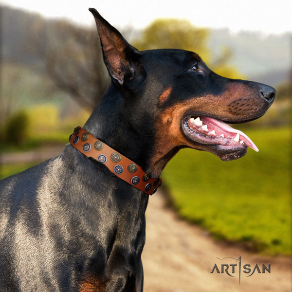 Doberman stylish full grain genuine leather collar with decorations for your canine