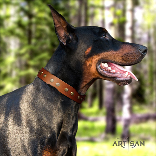 Doberman awesome natural genuine leather collar with decorations for your dog