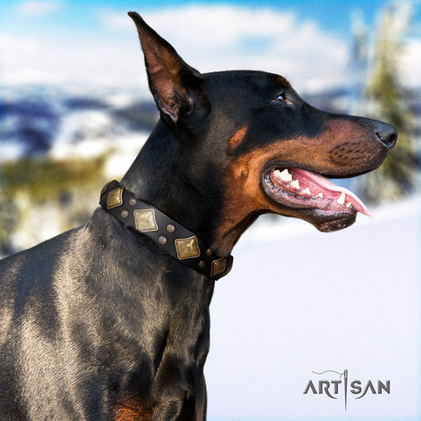 Doberman amazing natural genuine leather collar with studs for your dog