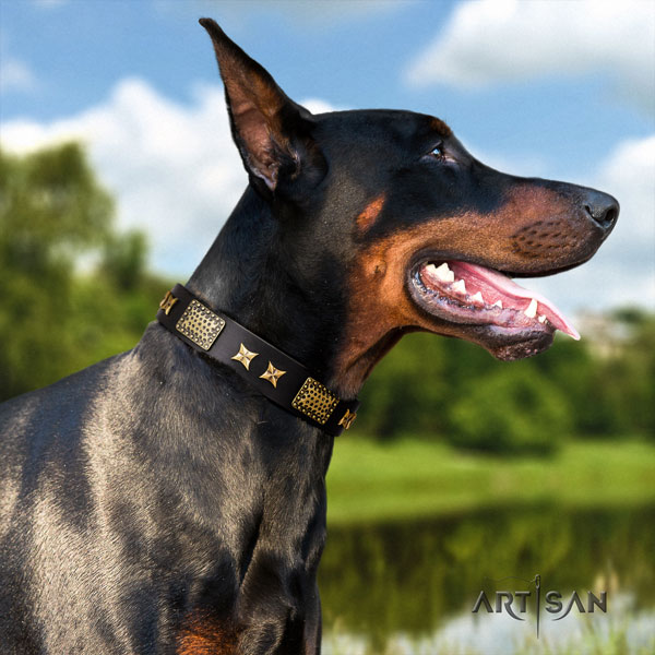 Doberman perfect fit full grain leather collar with studs for your dog