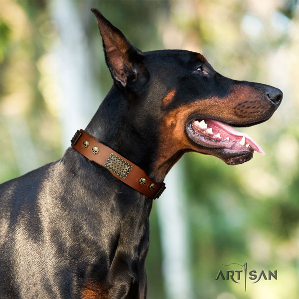 Doberman significant full grain leather collar with studs for your four-legged friend