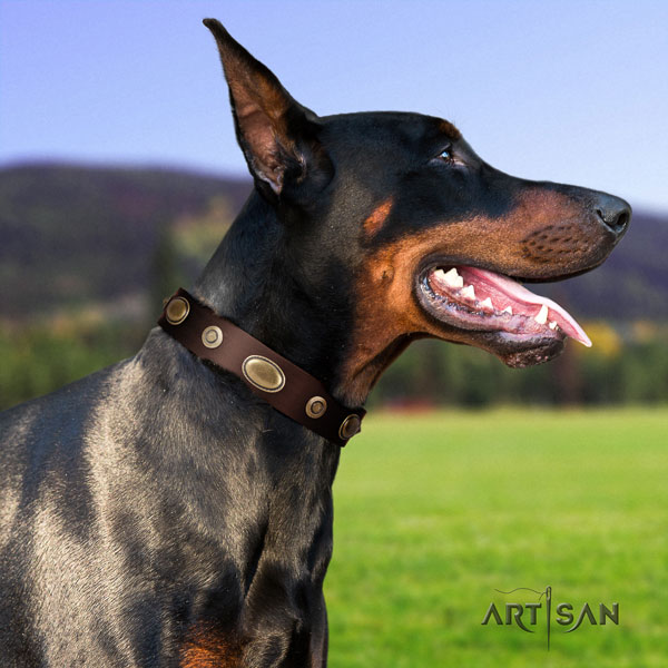 Doberman fashionable natural genuine leather collar with adornments for your four-legged friend