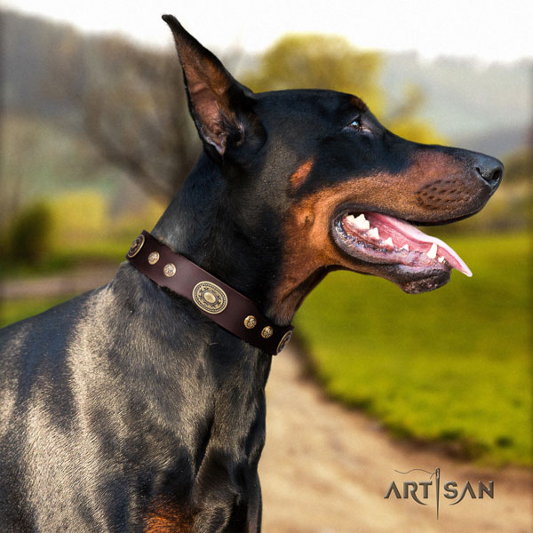 Doberman convenient full grain leather collar with studs for your doggie