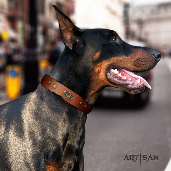 Doberman awesome full grain natural leather collar with embellishments for your four-legged friend
