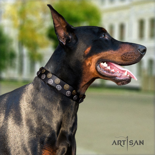 Doberman perfect fit full grain leather collar with decorations for your dog