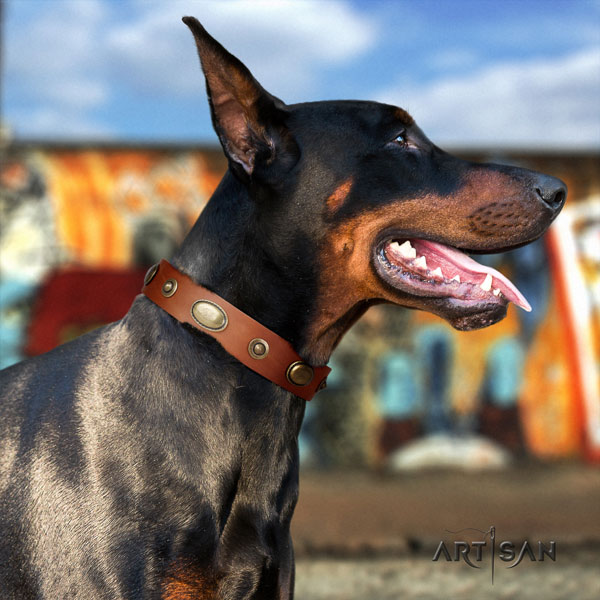 Doberman trendy full grain natural leather collar with adornments for your pet