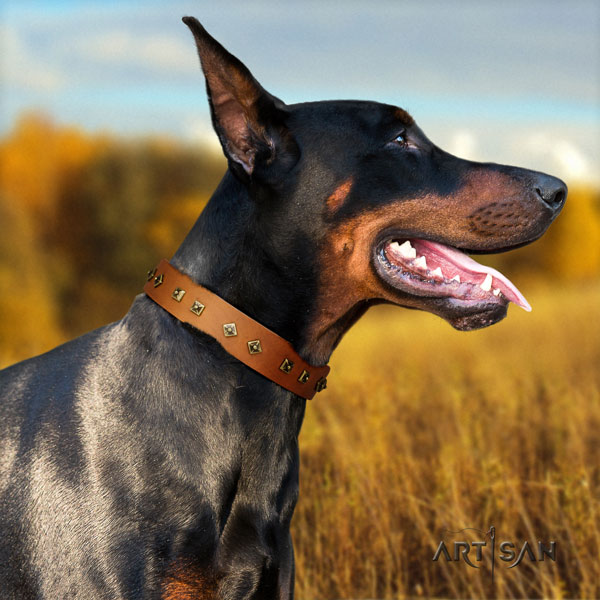 Doberman awesome full grain natural leather collar with adornments for your four-legged friend