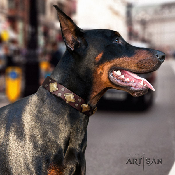 Doberman significant leather collar with adornments for your doggie