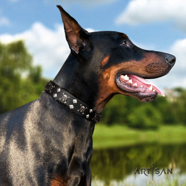Doberman easy adjustable full grain genuine leather collar with decorations for your four-legged friend