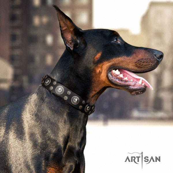 Doberman perfect fit full grain genuine leather collar with embellishments for your four-legged friend