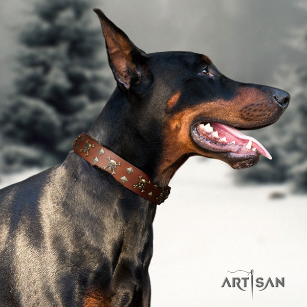 Doberman handmade leather collar with embellishments for your pet