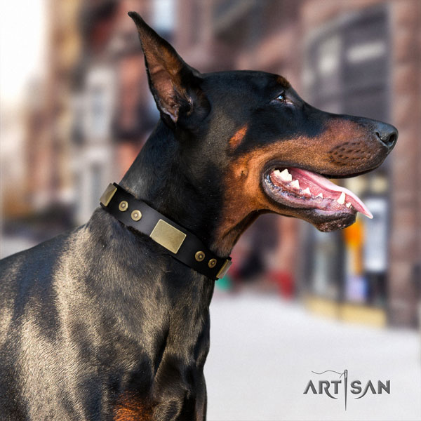 Doberman easy wearing leather collar with embellishments for your doggie