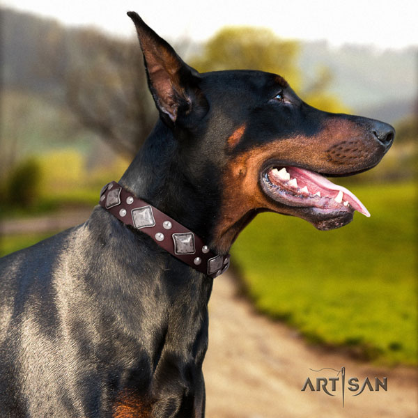 Doberman awesome full grain leather collar with studs for your doggie