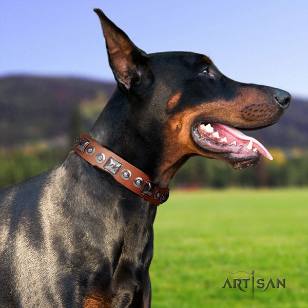 Doberman extraordinary natural genuine leather collar with decorations for your four-legged friend