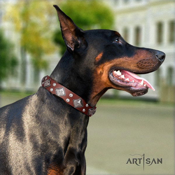 Doberman awesome genuine leather collar with adornments for your pet