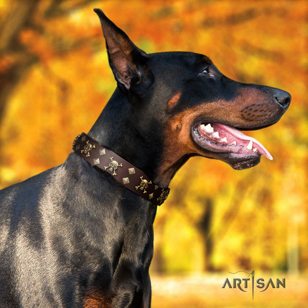 Doberman top quality full grain leather collar with embellishments for your canine