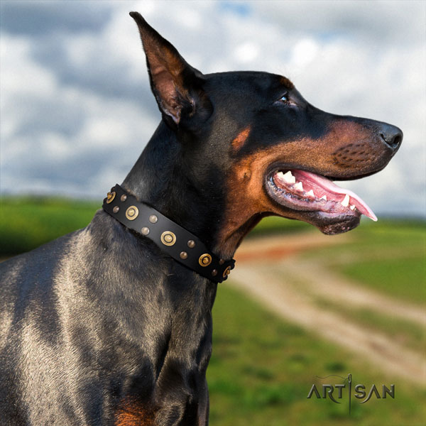 Doberman incredible full grain leather collar with adornments for your pet