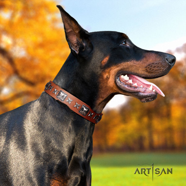Doberman exceptional full grain genuine leather collar with studs for your four-legged friend