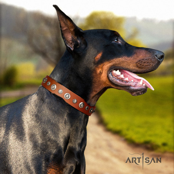Doberman inimitable full grain leather collar with adornments for your doggie
