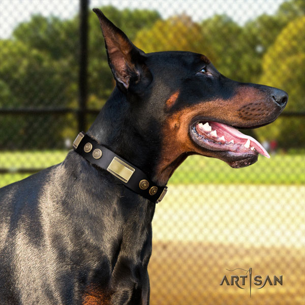 Doberman exceptional full grain leather collar with studs for your pet