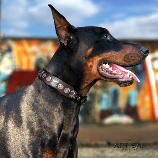 Doberman top notch full grain natural leather collar with adornments for your four-legged friend