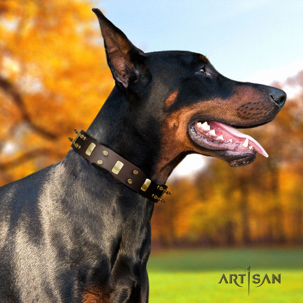 Doberman unusual genuine leather collar with adornments for your canine