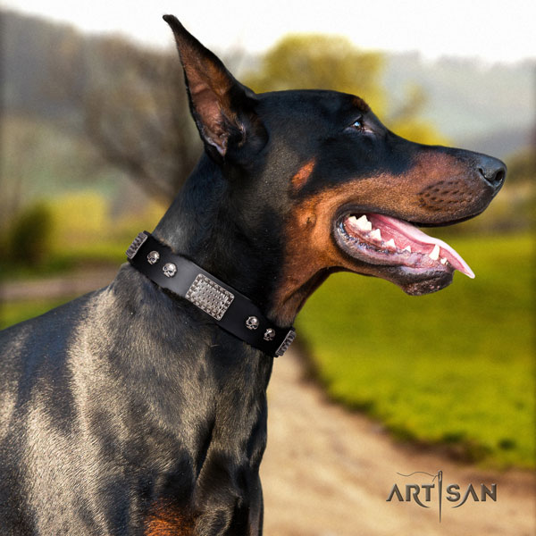 Doberman impressive full grain leather collar with embellishments for your pet