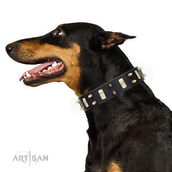 Doberman significant natural genuine leather dog collar for daily walking