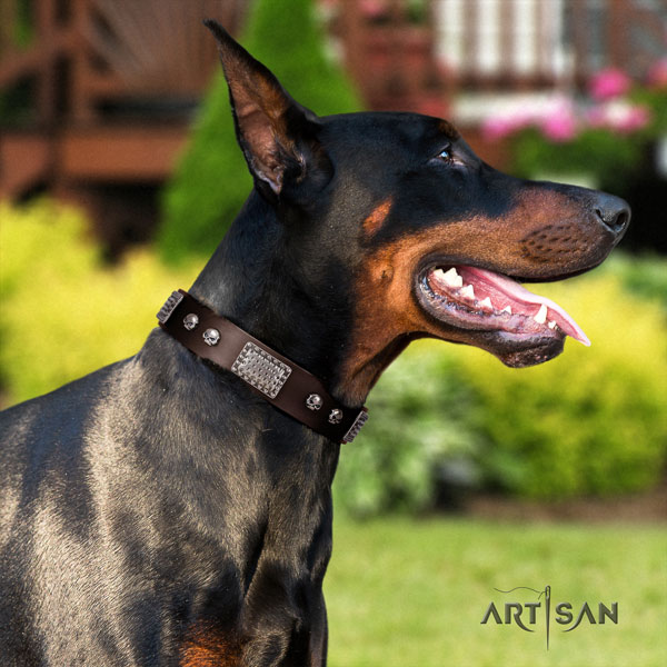 Doberman top notch full grain genuine leather collar with embellishments for your pet