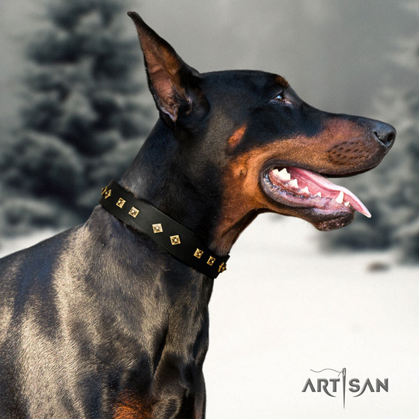 Doberman awesome full grain genuine leather collar with embellishments for your canine