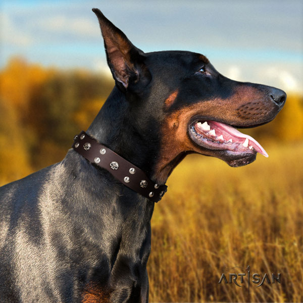 Doberman exceptional natural genuine leather collar with studs for your dog