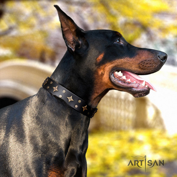 Doberman exceptional natural genuine leather collar with adornments for your dog