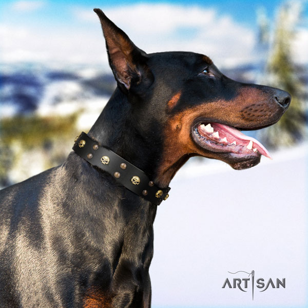 Doberman stunning full grain leather collar with studs for your pet