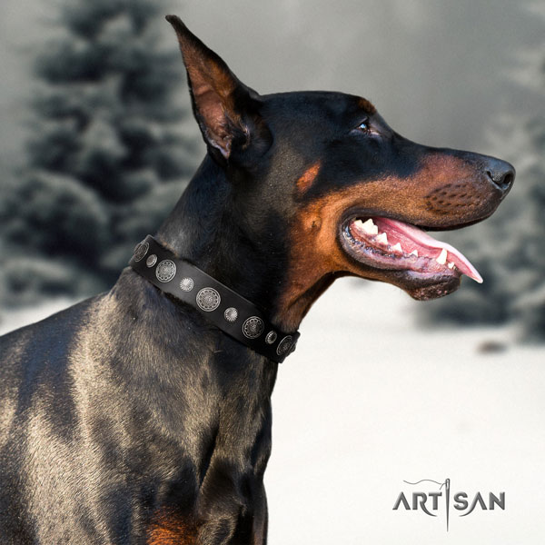 Doberman incredible full grain genuine leather collar with embellishments for your pet