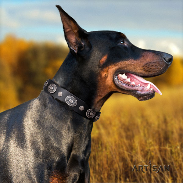Doberman top notch natural genuine leather collar with embellishments for your pet