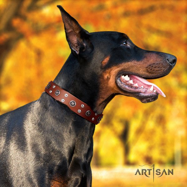 Doberman inimitable full grain leather collar with embellishments for your dog