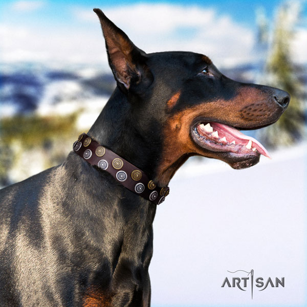 Doberman impressive full grain genuine leather collar with adornments for your dog