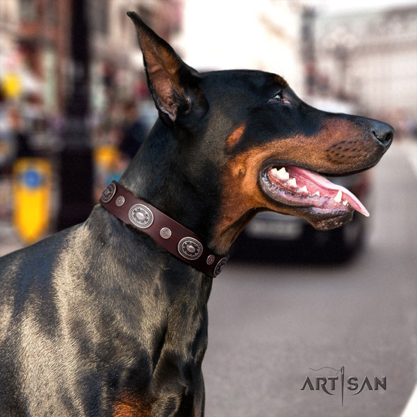 Doberman best quality leather collar with adornments for your dog