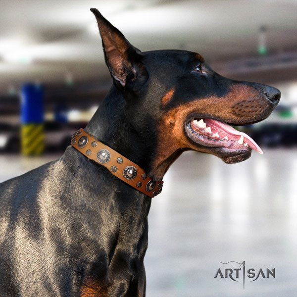 Doberman stylish full grain leather collar with decorations for your canine