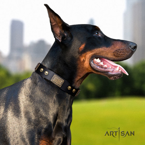 Doberman convenient natural genuine leather collar with adornments for your four-legged friend