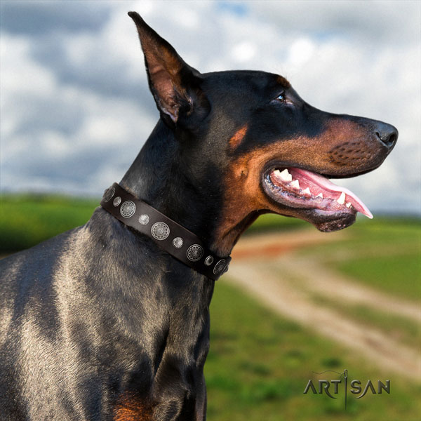 Doberman exquisite genuine leather collar with studs for your doggie