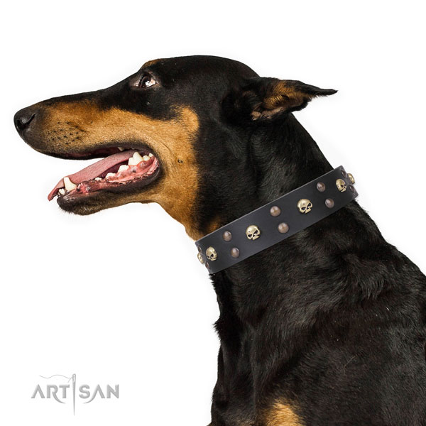 Doberman significant full grain natural leather dog collar for basic training