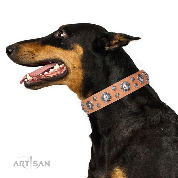 Doberman top notch full grain natural leather dog collar for walking